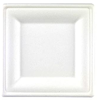 Piatti quadrati biodegradabili in canna da zucchero, ecologici e compostabili (20 cm, quadrati) – Piatti bianchi eliminabili rispettosi dell'ambiente