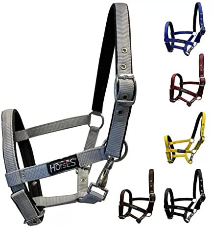 Horses, Fohlenhalfter, Modell Foal, Komfortables Halfter zum Führen des Fohlens an der Hand oder zum Sichern beim Putzen, Satteln oder Transportieren