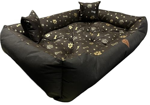 Dogs4Life Hundebett kleine Hunde S | Orthopädisch & Gelenkschonend | Hundesofa | Hundekissen | Waschbar | Outdoor & Wasserabweisend | Robust & Formstabil | mit Rand | S 75x65cm Goldene Pfoten
