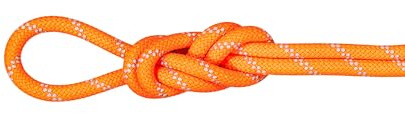 Mammut 9.5 Alpine Dry Rope 60m