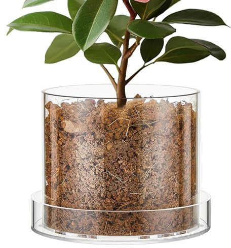 Genérico Macetas Transparentes - Tiestos De Vivero Claros | con Drenaje Reutilizables Acrílicos para Plántulas Jardín Interior Plantación Flores