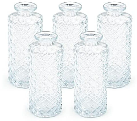Blümelhuber 5er Set Kleine Vase Glas Deko Hochzeit - Vase Klein - Vase Modern - Deko Frühling - Pflanzen Deko Trockenblumen Set Vasen Hochzeitsdeko (Weiß)