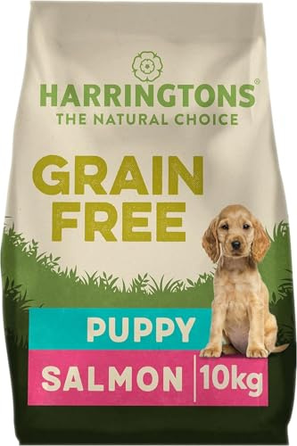 Harringtons Complete Grain Free Hypoallergenic Salmon & Sweet Potato Dry Puppy Food 10kg - Made with All Natural Ingredients