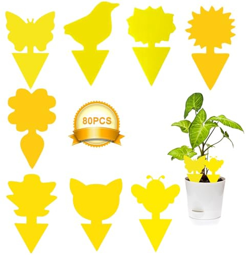 80 Pièges Attrape Moucheron Plantes, Anti Moucheron Plante, Anti Moucherons Plantes Interieur, pour Les Insectes Intérieurs et Extérieurs, Imperméables