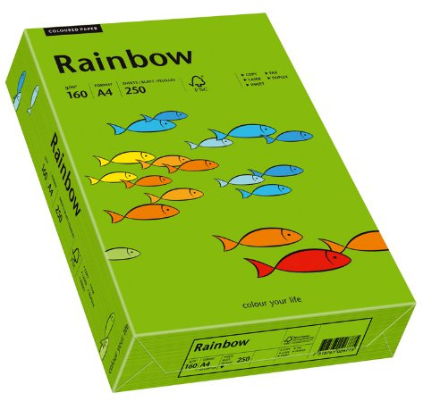 Papyrus 88042681 Drucker-/Kopierpapier farbig: Rainbow 160 g/m² A4 250 Blatt, Buntpapier matt, grün