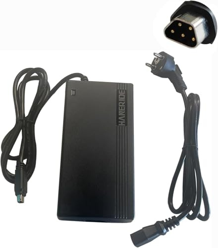 HANERIDE 42V 3A Ladegerät 5PIN für Fischer E-Bike 36V akku ETD/ETH 1801, Terra 2.0/ Phylion JCEB mit Trapezstecker (42V 3A)