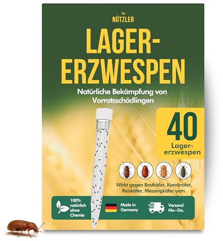 NÜTZLER® Lagererzwespen - 40 Nützlinge - Gegen Brotkäfer, Kornkäfer, Maiskäfer, Reiskäfer, Getreidekapuziner uvm - Wirkt NICHT gegen Speckkäfer & Reismehlkäfer - Zwei Lagererzwespen Arten (1 Stück)