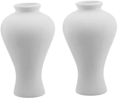 Abaodam 2stücke Weiße Keramikvasen Zum Selbermalen Für Erwachsene Und Junge Mädchen Kleine Moderne Tischvasen Für Trockenblumen Und Blumenarrangements Inklusive Künstlerbedarf Für DIY Kuns