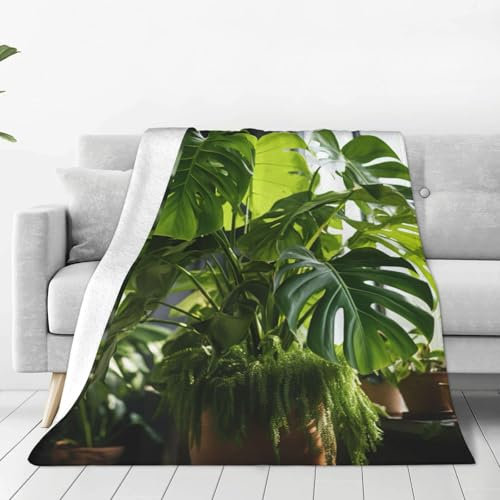 Monstera Deliciosa Banana Palm Super Soft Flannel Wool Blanket,Comfortable and Warm, The Flawless Choice for beds and Sofas