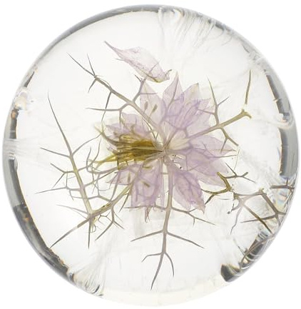 PAMINGONO Sapone Agli Aminoacidi Olio Essenziale di Fiori Trasparente, Detergente Viso e Corpo Naturale, Sapone da Doccia Portatile per Uso Quotidiano e Pelli Miste o Secche