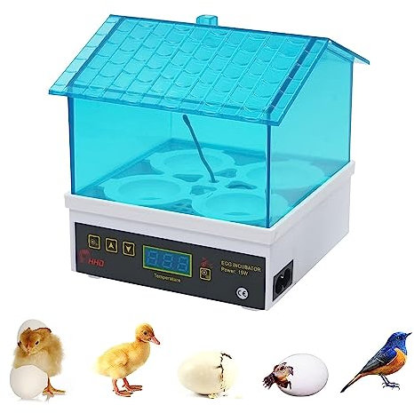 MOGOULUA Inkubator Digitaler Vollautomatische Brutmaschine Brutgerät Hatcher Automatischer Feuchtigkeitsregler Sichtbare Abdeckung (4 Eier)