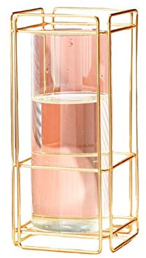 Augnongly Hydrokulturische Glasvase Wohnaccessoires Blumentöpfe Halter Pflanzen im Glas Zusammensetzung von Blumen Metallvase,