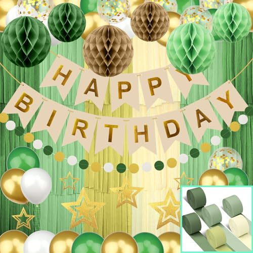 Recosis Birthday Decorations, Retro Green Crepe Paper Streamers Happy Birthday Banner Honeycomb Ball Stars Hanging Swirl for Women Men Boys Girls Party Decorations