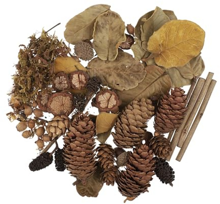 jojofuny Natural Acorns and Pine Cones for Craft, Rustic DIY Wood Branches Set with Leaves, Autumn Crafts Winter Christmas Decor, Small Micro Landscape Photo Booth Props
