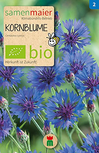 Samen Maier 803 Kornblume blau (Bio-Kornblumensamen)