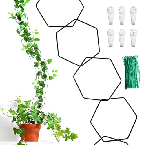 Rankhilfe Wand für Kletterpflanzen, 18 Stück Efeutute Rankhilfe DIY Wandkettenspalier Hexagon mit 6pcs Haken für Indoor Outdoor Pothos Pflanze Monstera