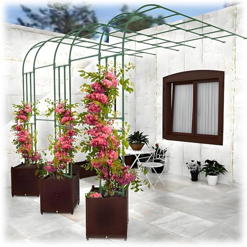 Arche de jardin pour plantes grimpantes, treillage en métal, pergola extérieure, arche de jardin décorative pour pelouse et balcon, disponible en 90 à 300 cm de largeur (vert, 240 x 240 cm)