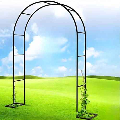 Robust trädgårdsbåge i metall för rosor, 240 cm B x 220 cm H, Pera Spaljé för utomhusbröllop, svart stål rosbåge, finns i storlekar 0,8 m till 3,5 m