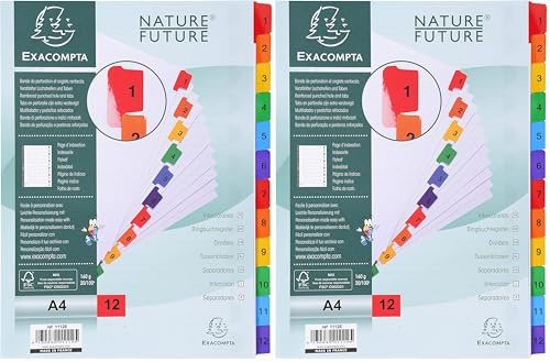 Exacompta 1112E Karton-Register 1-12 für DIN A4 aus Karton 12-teilig volle Höhe 21 x 29,7 cm weiß, bunte verstärkte Taben mit Indexseite Trennblätter Trennstreifen Ordner-Register (Packung mit 2)