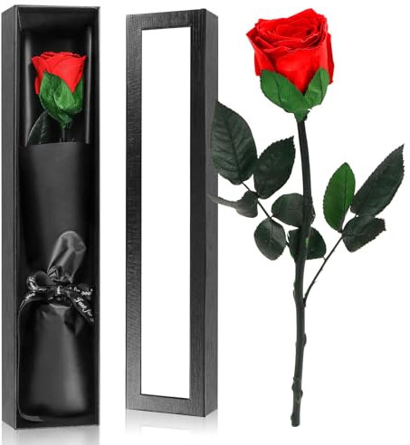 Byffoer Infinity Rose in Geschenkbox, Ewige Rose Rot mit Stiel Geschenke für Frauen Ewige Rose in Geschenkbox für Mama Damen Freundin zum Geburtstag Valentinstag Muttertag