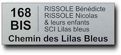Plaque Boite aux Lettres Personnalisable - 12x5 cm - Adresse et Numéro de Rue - 5 Lignes - Adhésive - Gravée et Personnalisée pour Maison, Famille, Bureau - Étiquette Avec Nom (Argent)
