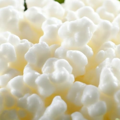 Spartan Live Milk Kefir Grains - Organic Probiotic Starter Culture (1 TBSP) - Reusable, Non-GMO, Easy to Make Homemade Kefir (Easy Fermenter Kit (Includes Grains))
