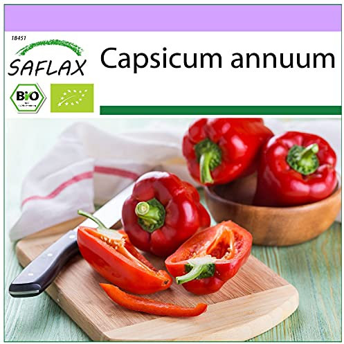 SAFLAX - BIO - Peperone - California Wonder - Red - 20 semi - Capsicum annuum