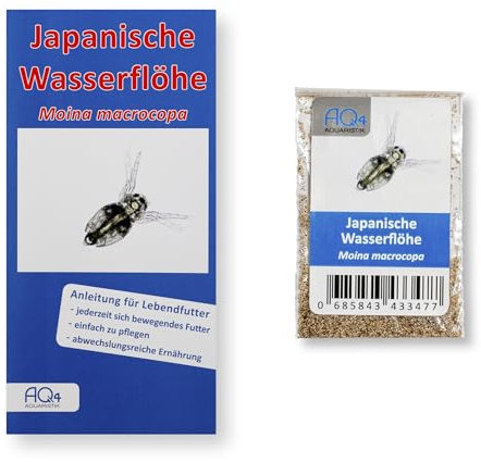 Lebendfutter - Japanische Wasserflöhe - Moina macrocopa (Zuchtansatz, Reine Wasserfloheier) - Lebendfutter für Fische im Aquarium