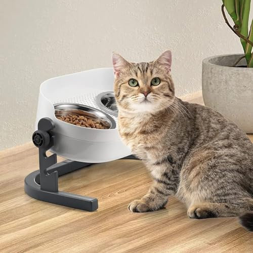ALL FOR PAWS Raised Cat Bowl 3 Heights Adjustable, Elevated Double Bowls with 2x350ML Stainless Steel Dishes, Cat Feeding Station for Small Medium & Large Cats, Non-Slip and No Spill (44x26x20CM)
