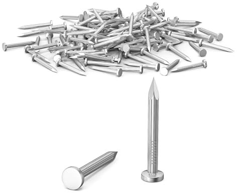 100 Chiodi da 30MM di Acciaio, Chiodi in Acciaio per uso su Cemento, Mattoni, Intonaco e Legno, Chiodi Zincati, per Lavori in Legno, Mattoni, uso Universale per Interni ed Esterni(Argenteo)