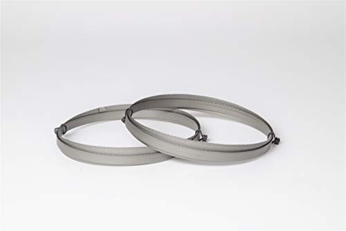 Encut - Juego de 2 hojas para sierra de cinta (1638 x 13 x 0,65 mm, bimetal, 8-12 dientes M42)