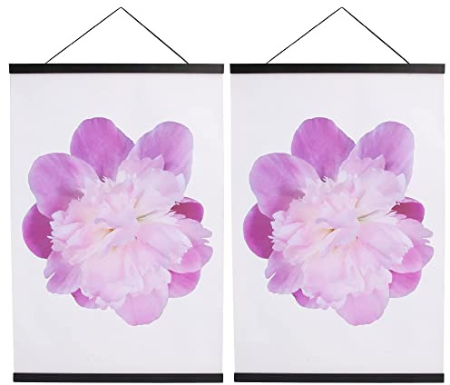 Aynoo furu 30 cm affischhängare ram svart 2-pack
