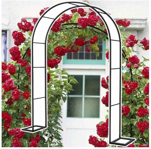 WCQSYY Arco De Jardin para Plantas Arco De Hierro Forjado para Plantas Trepadoras Arco De Rosales para Plantas Trepadoras,Blanca,W1.4M*H2.3M