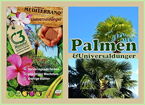 Abono Mediterrano para palmeras exteriores, fertilizante especial para un crecimiento fuerte, raíces sanas y un verde intenso
