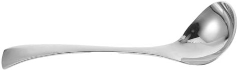 CANIGHT 2pcs Stainless Steel Serving Spoons Soup Spoon Ladle for Salad Dressings Kitchen Use
