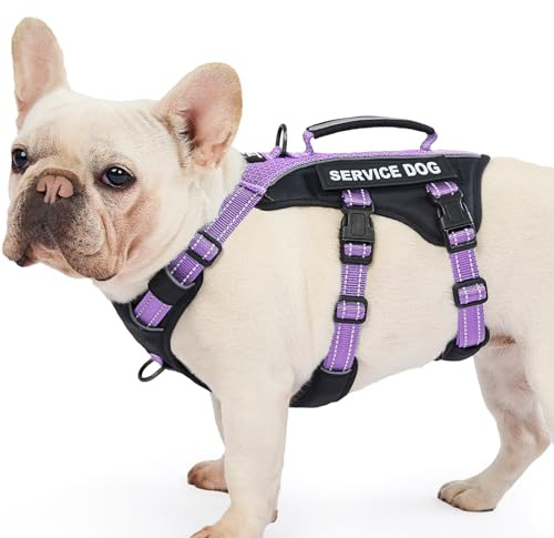 Huntboo Hundegeschirr Mittelgroße Hunde, Sicherheitsgeschirr Hund Ausbruchsicher mit 6 Patches, Service Geschirr Hund mit Griff, Anti Zug Hundegeschirr, Verstellbar, 2 D-Ringe, Reflektierend (Lila,M)