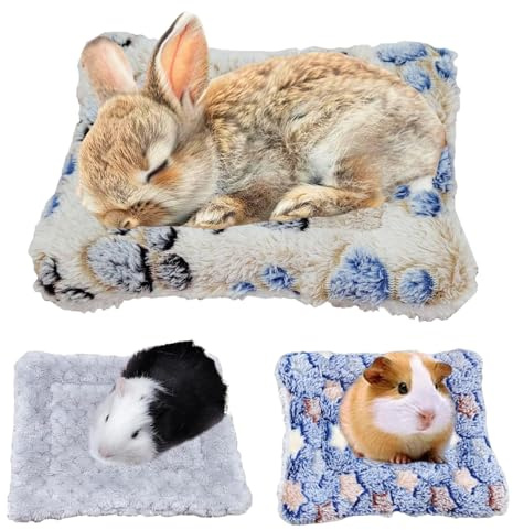 ChAusa 3 Pièces Tapis Lapin Maison Cochon d'Inde pour Petits Animaux | Cochon D'Inde Accessoire Cabane Lapin,Maison pour Chatons,Lapins,Écureuils (2 Tailles)
