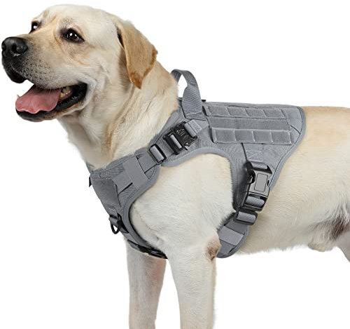 rabbitgoo No Pull Hundegeschirr Mittlere Grosse Hunde, Taktische Brustgeschirr mit MOLLE Griff Metallschnallen, Atmungsaktiv Militär Sicherheitsgeschirr, Verstellbares Gepolstert Hundeweste, M Grau