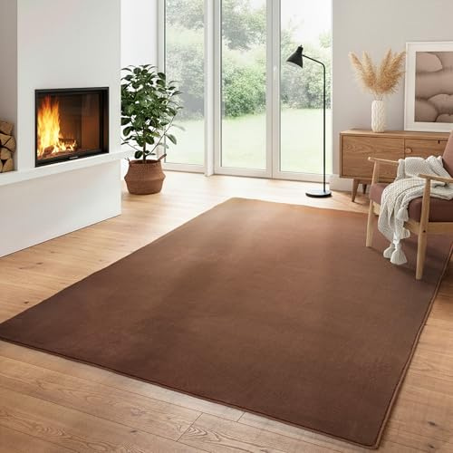 Einfarbiger Teppich Wohnizmmer, Esszimmer, Schlafzimmer, Küchenteppich Waschbar Teppich Braun Flauschig Kurzflor Carpet, Größe: 60 x 110 cm