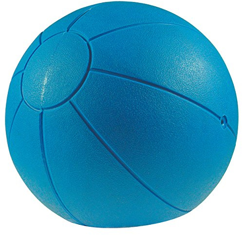 Sport-Tec TOGU Medizinball Fitnessball Gewichtsball Rehaball aus Ruton 21 cm, 0,8 kg, BLAU