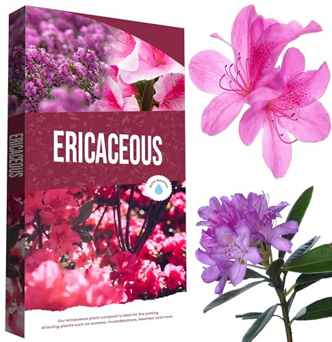 20 Litres Ericaceous Special Formula Plant Soil Grow Camellia, Azalea, Rhododendron & Heather (20 Litre)