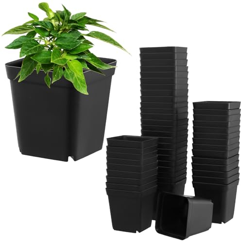 QWORK® 100 Stück 6 cm Kunststoff Anzuchttöpfe Pflanztöpfe Eckig für Samenstart und Stecklinge - Wiederverwendbar mit Drainagelöchern