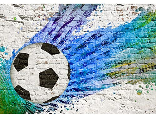 Runa Art Papel tapiz fotográfico muro de piedra de fútbol 352 x 250 cm Lana Fondo De Pantalla XXL Moderna Decoración De Pared Sala Cuarto Oficina Salón Verde azul 9021011a