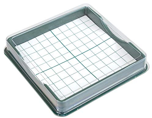Betzold - Hunderterbox für Zehnerbasen - Dezimalsystem Mathematik Grundschule