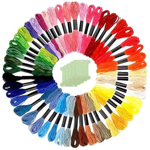 FEPITO 55 Stück Rainbow Color Stickgarn Set 50 Stränge Stickgarn und 5 Stück Zahnseide Spulen für Freundschaftsbänder Zahnseide, Kreuzstichfäden, Bastelseide