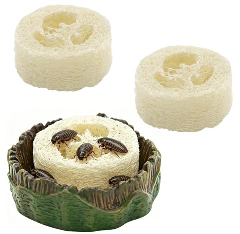 Plato para Cucarachas Bebedero Y Para Reptiles Con Natural | Alimentador para Terrarios de Reptiles Para Recinto Y Terrario Con Arañas, Geckos, Cucarachas, Isópodos, Colémbolos