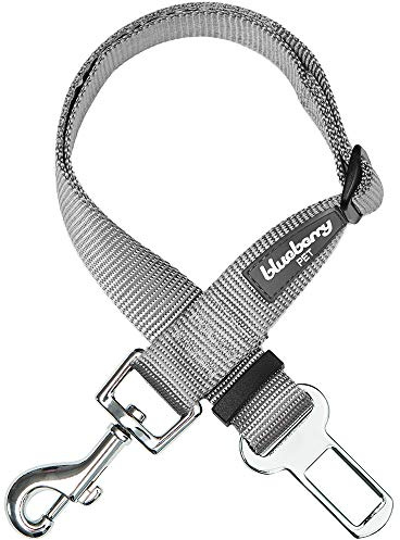 Blueberry Pet Dog Leash Puppy Essentials Seat Belt Tether for Dogs Cats, Gray, Heavy Duty Dog Leashes for Large Dogs - Safety for Pet Parents, Road Trip Enthusiasts, 2x27.5