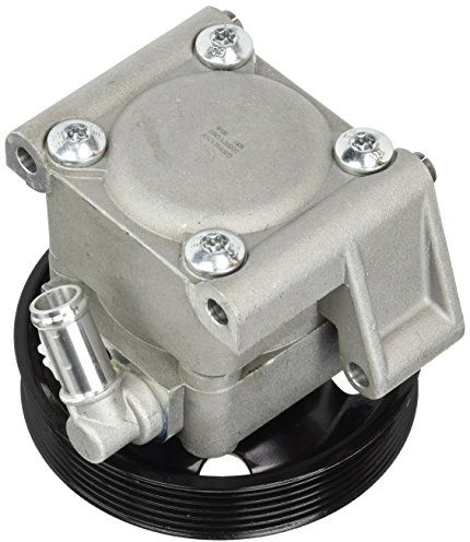 ESEN SKV Hydraulikpumpe, Lenkung 10SKV091