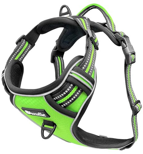 bluzelle Hundegeschirr für kleine Hunde, Reflektierendes Brustgeschirr mit Griff & Tasche für GPS Tracker, Anti-Zug Hundeweste Hund-Warnweste, Atmungsaktiv Reflektor-Gurte, XS, Grün