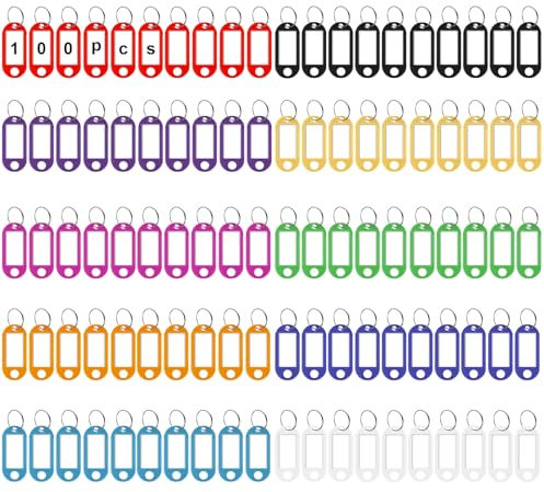 100 Stück Schlüsselanhänger, Kunststoff Schlüsselschilder mit Schlaufen ,Schlüsselanhänger Beschriftbar Etiketten,Schlüsselanhänger für Schlüssel, Haustiere, Gepäckstücke,10 Farben Austauschbar